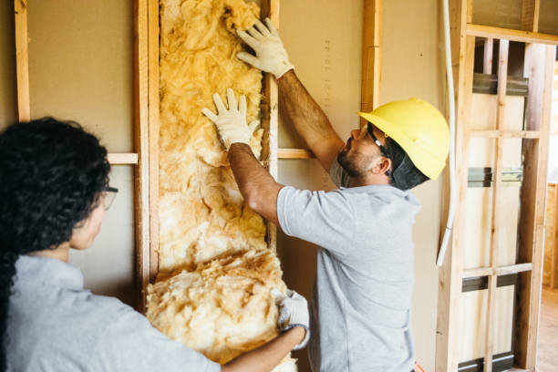 Professional Insulation in Rocky River, OH